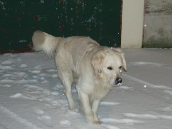 53892006.jpg